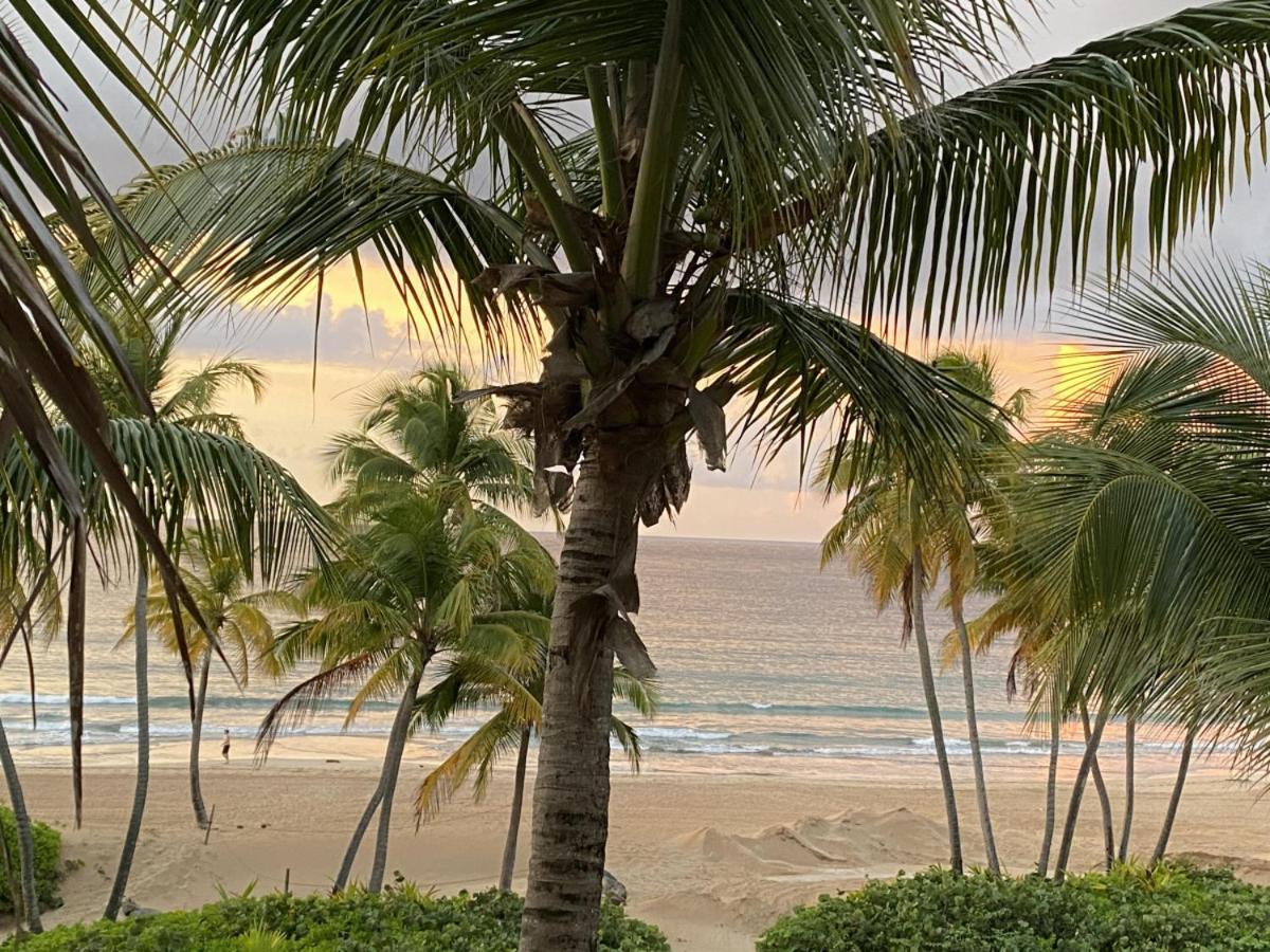 Beachfront Luxury 2 Bedroom At Wyndham Rio Mar, Pr Лукильо Экстерьер фото